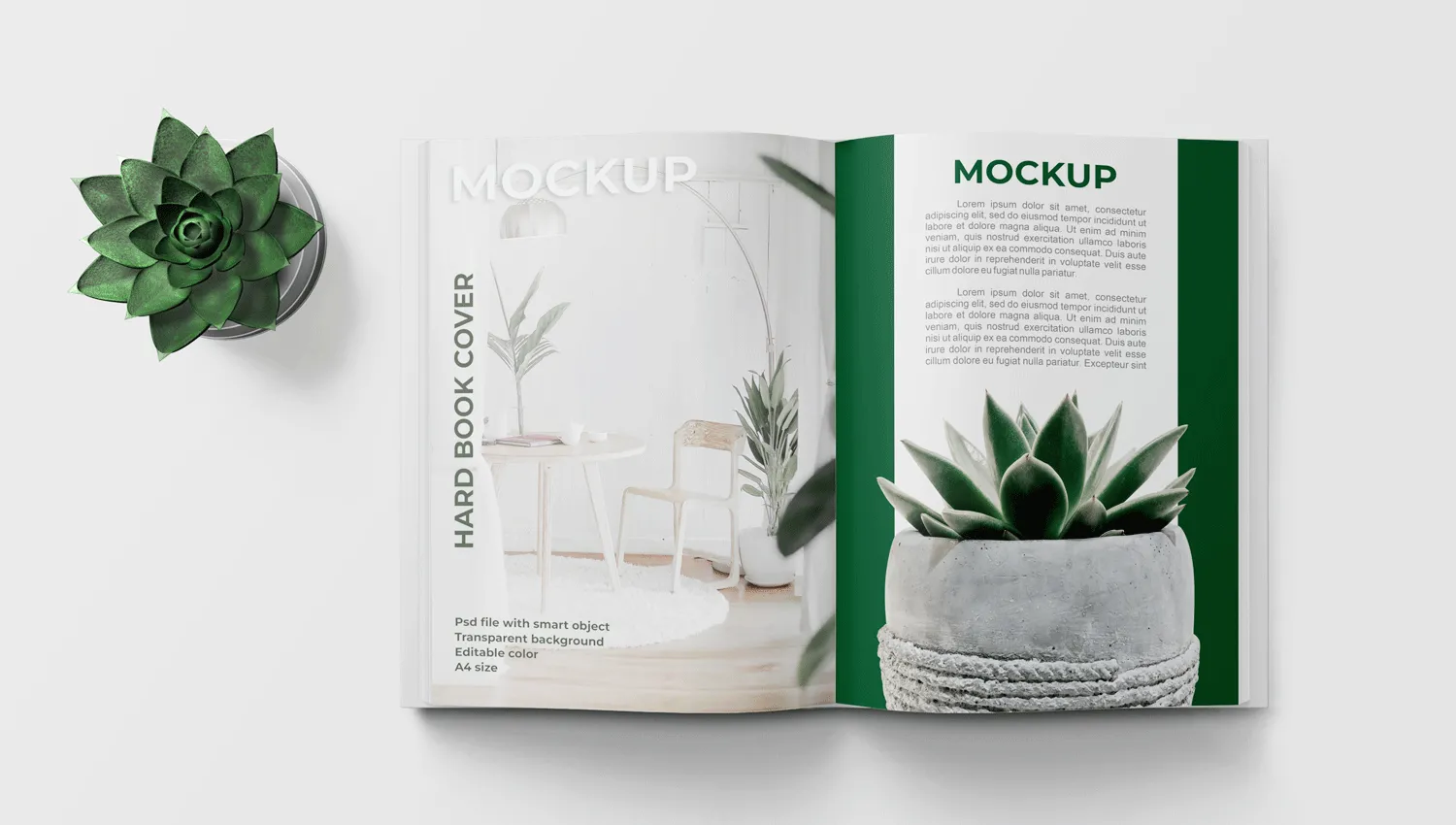 Xu Hướng Thiết Kế Catalogue Mới Nhất Sáng Tạo Vượt Thời Gian