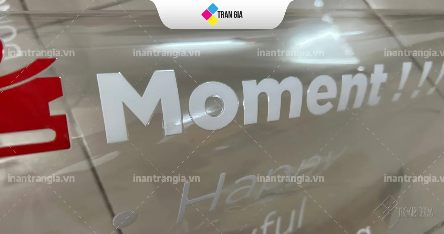 In-Decal-DTF-3D-Xu-Huong-In-An-2025---01