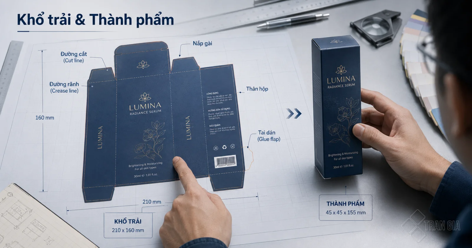 Minh họa khổ trải hộp giấy và kích thước thành phẩm sau khi dựng hộp từ bản trải phẳng.