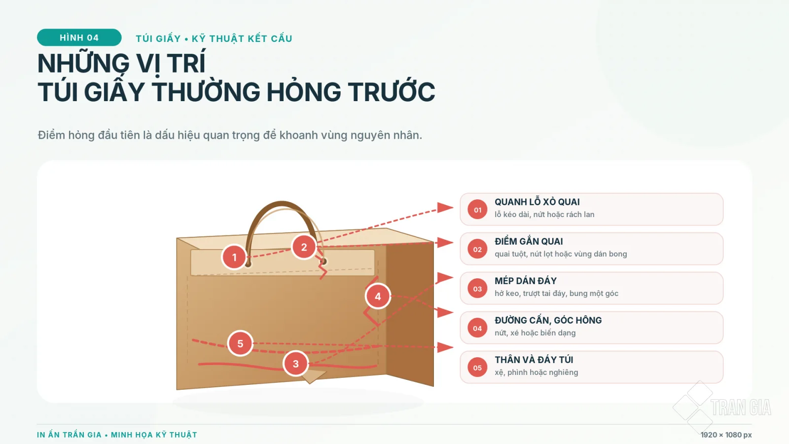 Minh họa các vị trí túi giấy thường hỏng quanh lỗ quai, điểm gắn quai, mép dán đáy, đường cấn và thân túi