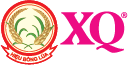 Logo Tiim Group